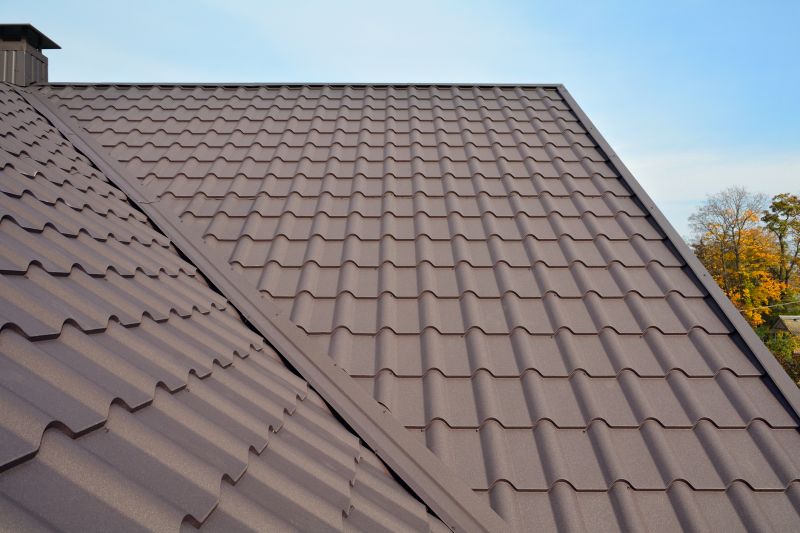 Metal Roof Installation in Fredericksburg, VA